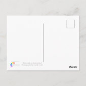 Der Rhein fällt in der Schweiz Postkarte (Rückseite)