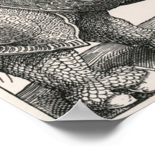 Der Rhino Poster (Ecke)