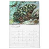 Der Riese Clam Tridacna maxima von J.W. Vater. Kalender (Feb 2027)