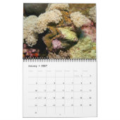 Der Riese Clam Tridacna maxima von J.W. Vater. Kalender (Jan 2027)