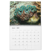Der Riese Clam Tridacna maxima von J.W. Vater. Kalender (Mär 2027)