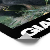 Der Riesenpanda gerettet Poster (Ecke)