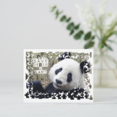 Der Riesenpanda gerettet Postkarte (Stehend Vorderseite)
