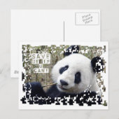 Der Riesenpanda gerettet Postkarte (Vorne/Hinten)