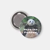 Der Riesenpandas Magnet gerettet (Vorderseite/Rückseite)