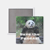 Der Riesenpandas Magnet gerettet (Vorderseite/Rückseite)