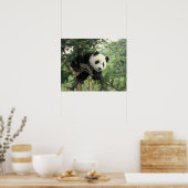 Der riesige Panda-Kub klettert auf einen Baum, Wol Poster (Küche)