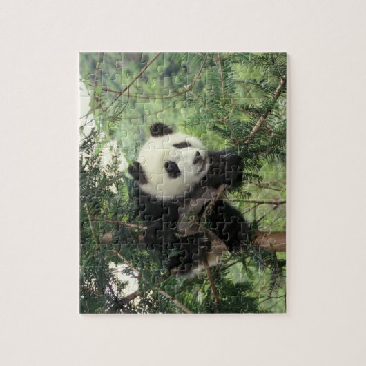 Der riesige Panda-Kub klettert auf einen Baum, Wol Puzzle (Vertikal)