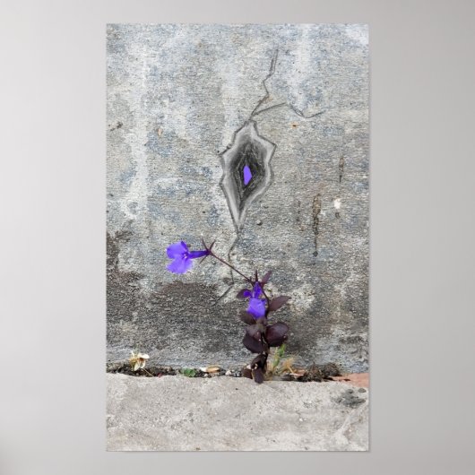 Der Riss in der Wand Poster (Vorne)