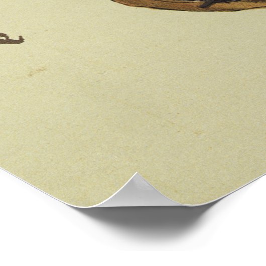 Der Ritter, ein Faksimile aus Poster (Ecke)