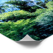 Der Roanoke Star Poster (Ecke)