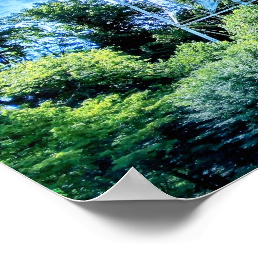 Der Roanoke Star Poster (Ecke)