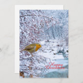 Der Robin Feiertagskarte (Vorne/Hinten)