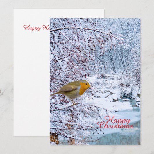Der Robin Feiertagskarte (Vorne/Hinten)