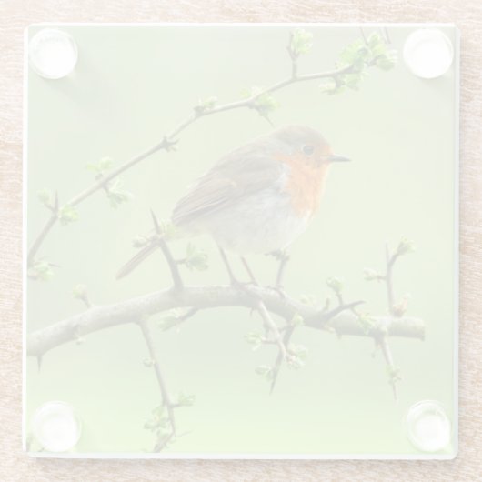 Der Robin Glasuntersetzer (Rückseite)