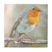 Der Robin ist eine Gabriel-Wasserfarbe Fliese (Vorderseite)