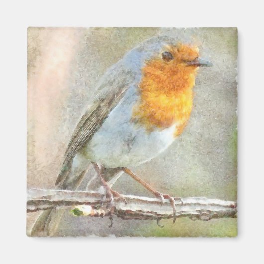 Der Robin ist eine Gabriel-Wasserfarbe Magnet (Vorne)