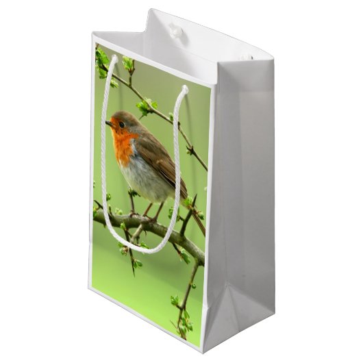 Der Robin Kleine Geschenktüte (Vorderseite Schrägansicht)