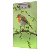 Der Robin Klemmbrett (Links)