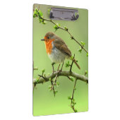 Der Robin Klemmbrett (Rechts)