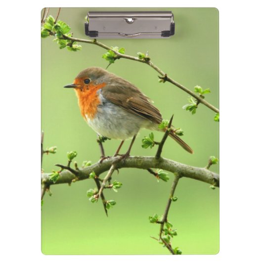 Der Robin Klemmbrett (Vorderseite)