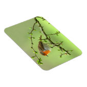 Der Robin Magnet (Rechte Seite)