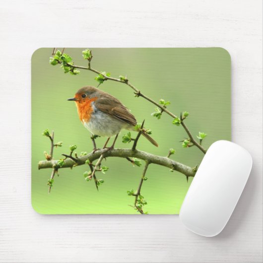 Der Robin Mousepad (Mit Mouse)