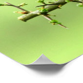 Der Robin Poster (Ecke)