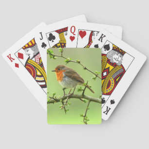 Der Robin Spielkarten
