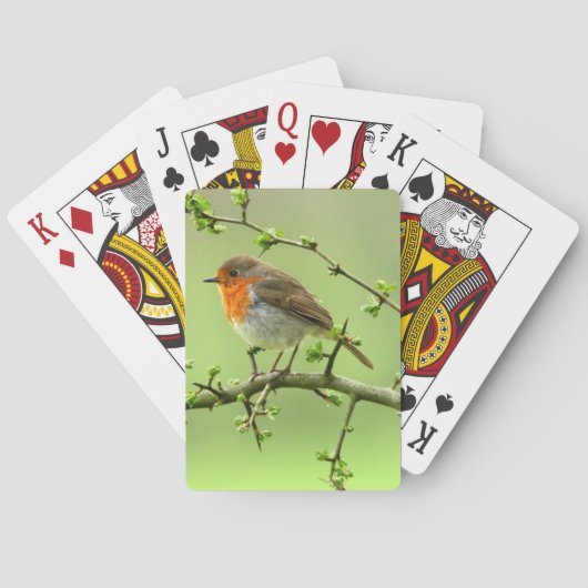 Der Robin Spielkarten (Rückseite)