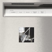 Der Roboterarm des japanischen Experiments Modu 2 Magnet (In Situ (Geschirrspüler))