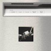 Der Roboterarm des Remote Manipulators System Magnet (In Situ (Geschirrspüler))