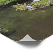 Der rollende Teich mit der Mondbrücke Poster (Ecke)