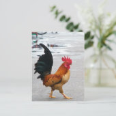 Der Rooster überquerte den Weg Postkarte (Stehend Vorderseite)