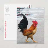 Der Rooster überquerte den Weg Postkarte (Vorne/Hinten)