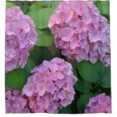 Der Rosa Hortensia-Hydrangebusch Duschvorhang (Vorderseite)