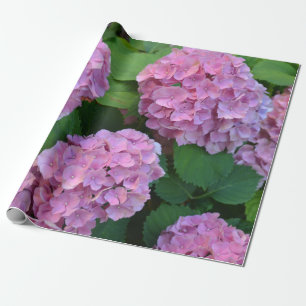 Der Rosa Hortensia-Hydrangebusch Geschenkpapier
