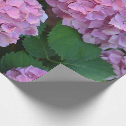 Der Rosa Hortensia-Hydrangebusch Geschenkpapier (Ecke)
