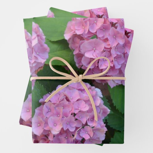 Der Rosa Hortensia-Hydrangebusch Geschenkpapier Set (Beispiel)
