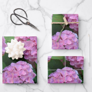 Der Rosa Hortensia-Hydrangebusch Geschenkpapier Set