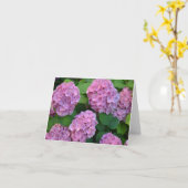 Der Rosa Hortensia-Hydrangebusch Karte (Gelbe Blume)