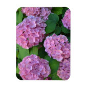 Der Rosa Hortensia-Hydrangebusch Magnet (Vertikal)