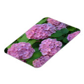 Der Rosa Hortensia-Hydrangebusch Magnet (Linke Seite)