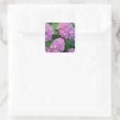Der Rosa Hortensia-Hydrangebusch Quadratischer Aufkleber (Tasche)