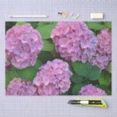 Der Rosa Hortensia-Hydrangebusch Seidenpapier (Handwerk)