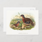Der Rotbrüste-Partridge (Hyperythra von Bambusicol Postkarte (Vorne/Hinten)