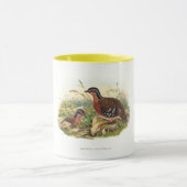 Der Rotbrüste-Partridge (Hyperythra von Bambusicol Tasse (Zentrum)