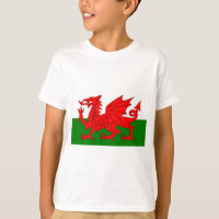 Der rote Drache [Flagge von Wales]