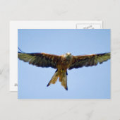 Der rote Drache Postkarte (Vorne/Hinten)