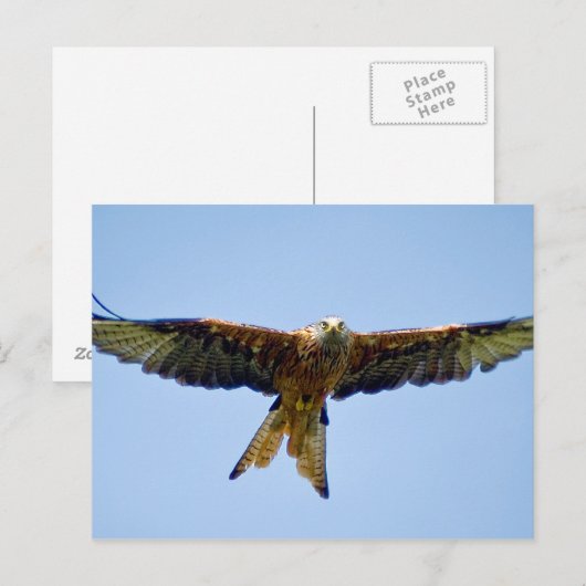 Der rote Drache Postkarte (Vorne/Hinten)